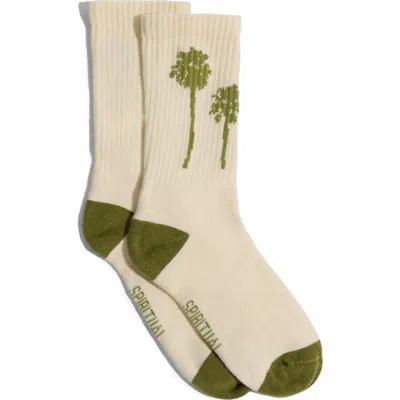 Spiritual Gangster Summer Soul Crew Socks In Neutral