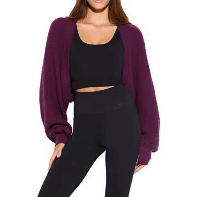 Spiritual Gangster Vera Studio Cotton Shrug In Purple
