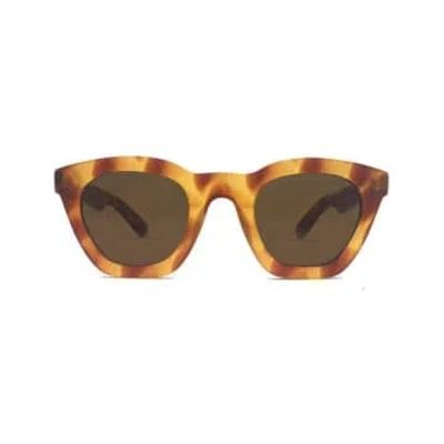 Spitfire - Cut Sixty Four In Brown