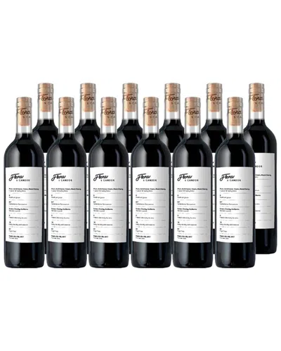 Splash Wines The Amazing Flora & Candor Tannat 12-pack