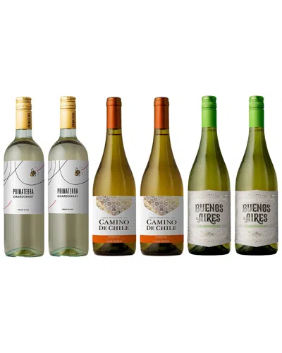 Splash Wines The Chardonnay 6-pack