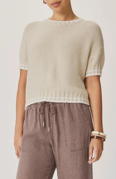 Splendid Ann Marie Short Sleeve Cotton Sweater In Brown