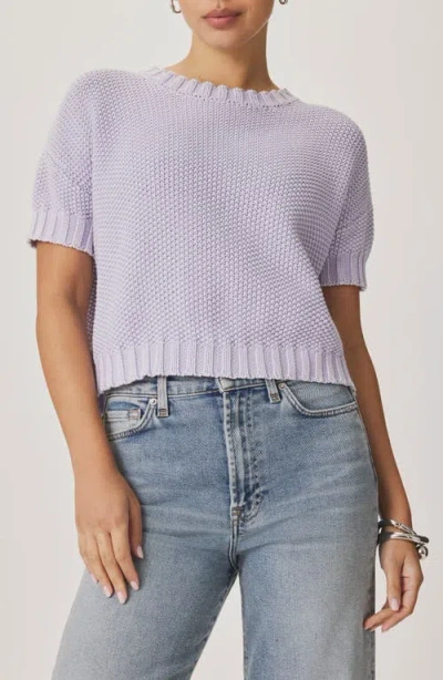 Splendid Annmarie Cotton Sweater In Purple