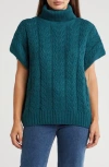Splendid Aspen Sleeveless Turtleneck Sweater In Balsam