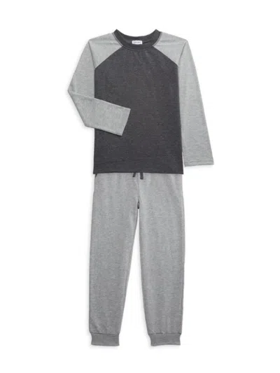 Splendid Kids' Baby Boy's & Little Boy's 2-piece Heathered T-shirt & Joggers Set In Heather Grey