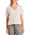 Splendid V-neck Jersey T-shirt In Multi