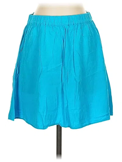 Pre-owned Splendid Casual Skirt In Blue
