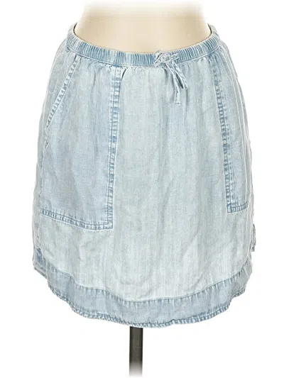 Pre-owned Splendid Denim Skirt In Blue