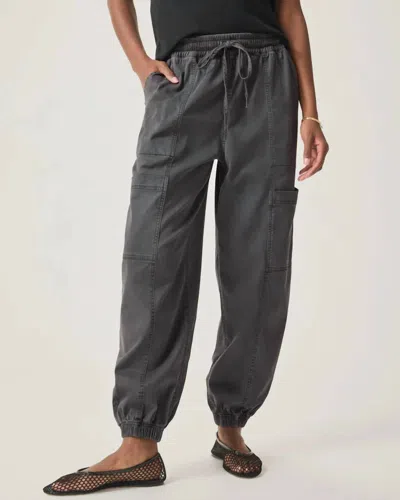 Splendid Destiny Jogger Lead In Gray