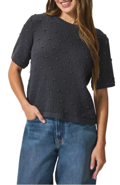 Splendid Eliza Short Sleeve Sweater In Lead