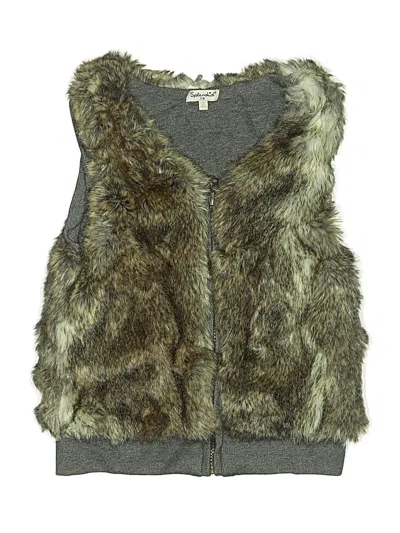 Pre-owned Splendid Kids' Faux Fur Vest In Gray