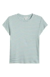 Splendid Faye Crewneck Stripe Tee In Mineral/white