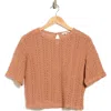 Splendid Finley Crochet Short-sleeve Crop Top In Brown