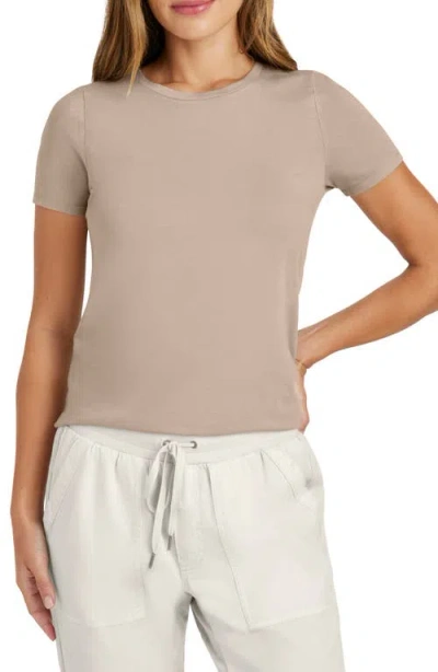 Splendid Genevieve T-shirt In Fawn