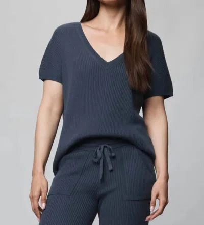 Splendid Georgie Short Sleeve V Sweater In Ice Navy In Animal Print