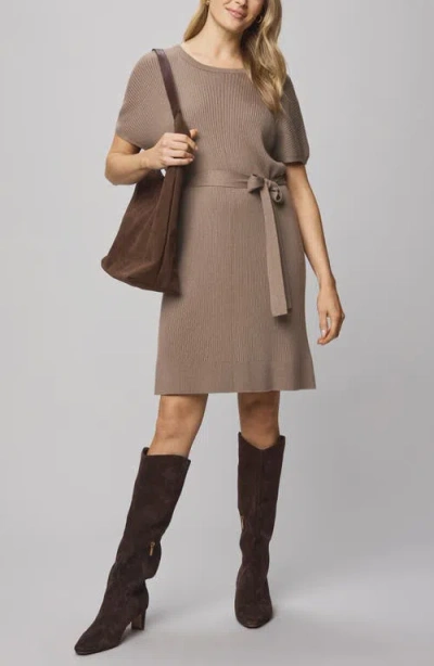 Splendid Georgie Tie Waist Rib Sweater Dress In Brown