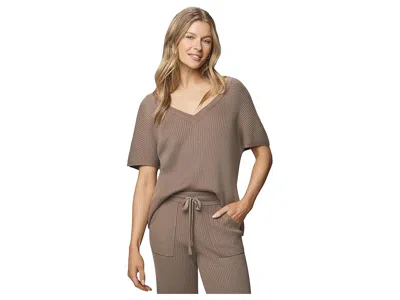 Splendid Georgie V-neck Sweater In Brown