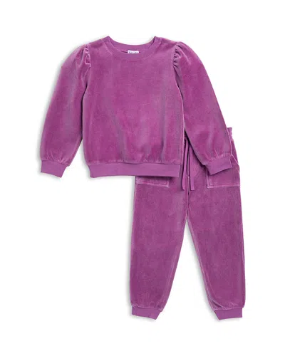 Splendid Girls' Jade Velour Top & Jogger Pants Set - Little Kid In Purple