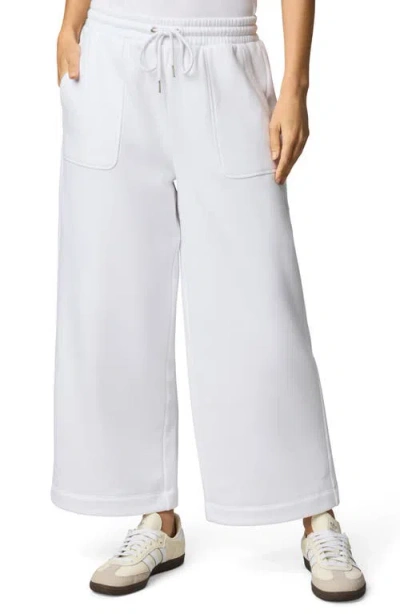 Splendid Goldie Sweatpants In Multi