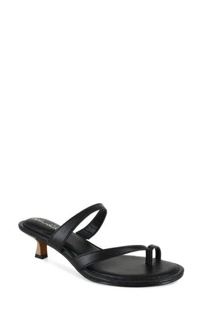 Splendid Hayes Kitten Heel Sandal In Black