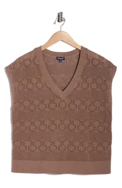 Splendid Honore Short Sleeve Sweater In Brown