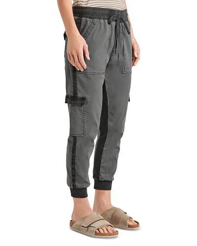 Splendid Jaclyn Joggers In Stone