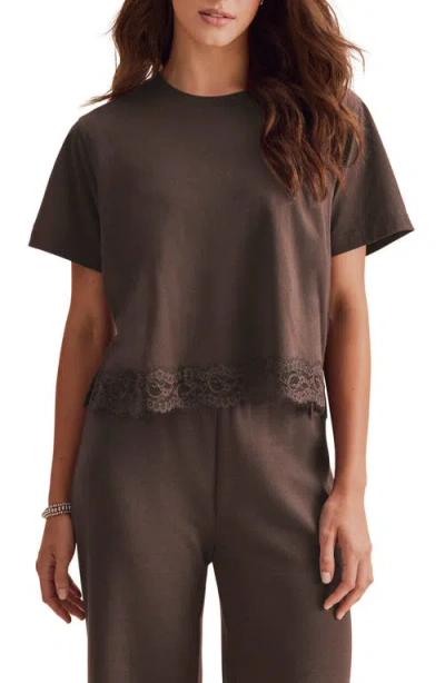 Splendid Lainey Lace Trim Jersey Tee In Java Brown