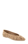 Splendid Latouche Perf Flat In Brown