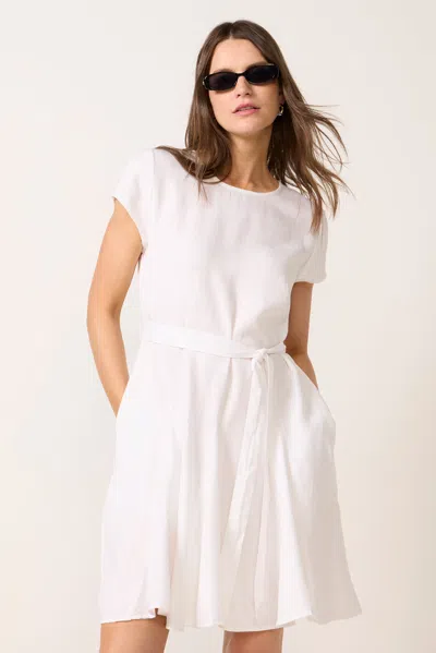 Splendid Lily Mini Dress In Gray