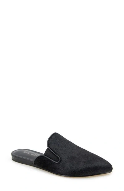 Splendid Liza Pointed Toe Mule In Black