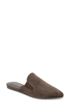 Splendid Liza Pointed Toe Mule In Brown