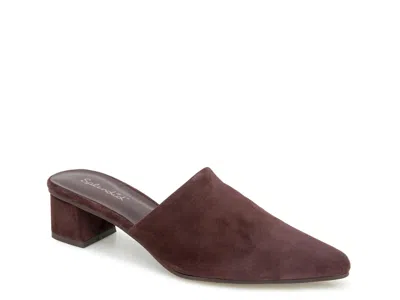 SPLENDID SPLENDID LORELEI MULE
