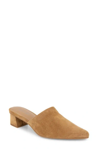 Splendid Lorelei Pointed Toe Mule In Macchiato