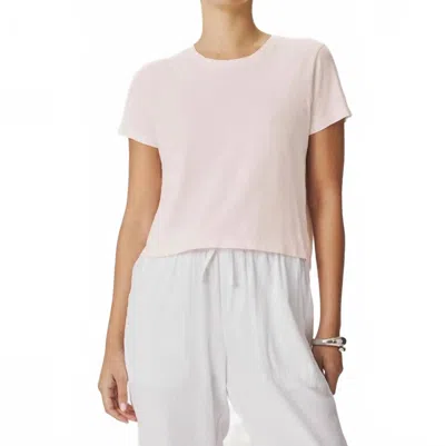 Splendid Louisa Short Sleeve Tee In Rose In Multi