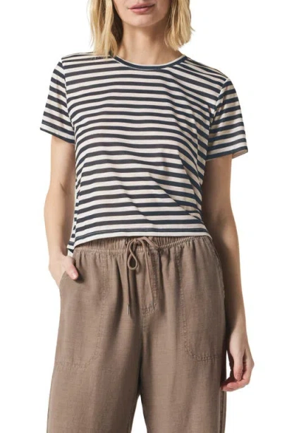 Splendid Louisa Stripe T-shirt In Lead Stripe