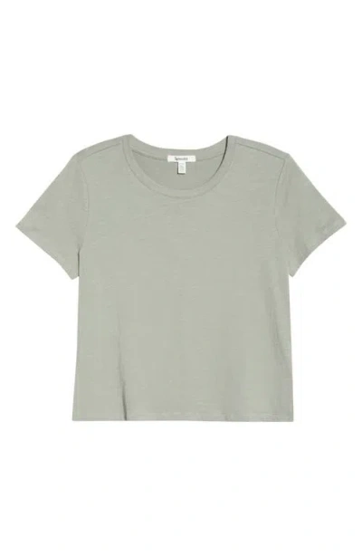 Splendid Lousia Short Sleeve T-shirt In Gray