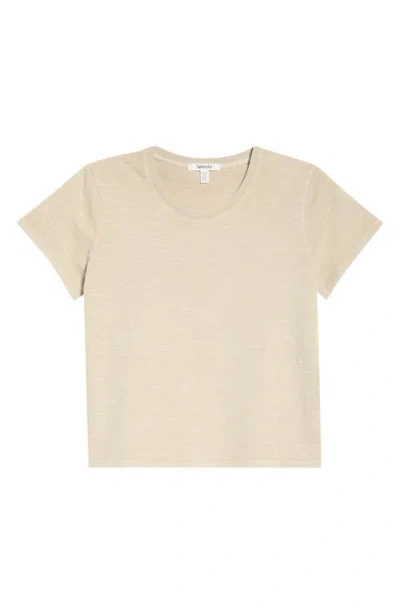 Splendid Lousia Short Sleeve T-shirt In Neutral