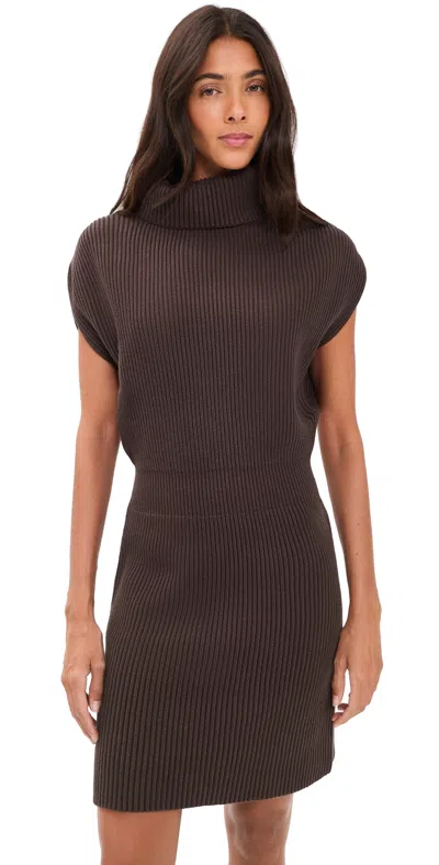 Splendid Marigold Mini Sweater Dress Java In Brown