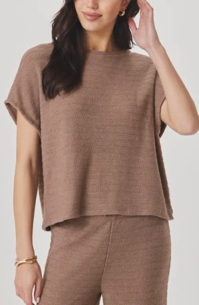Splendid Marisol Short Sleeve Sweater In Brown