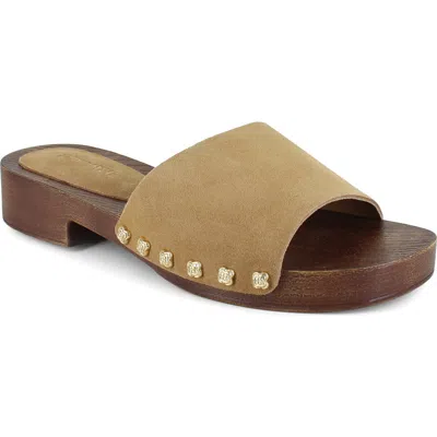 Splendid Mila Slide Sandal In Brown
