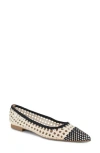 Splendid Nelly Pointed Toe Flat In Black/oat