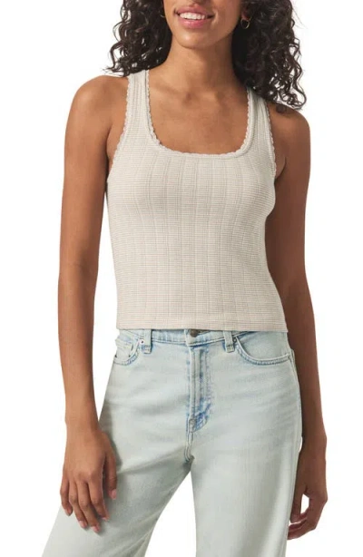 Splendid Pointelle Rib Tank In Fawn Stripe