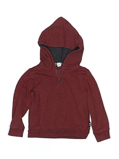 Pre-owned Splendid Kids' Pullover Hoodie In Burgundy