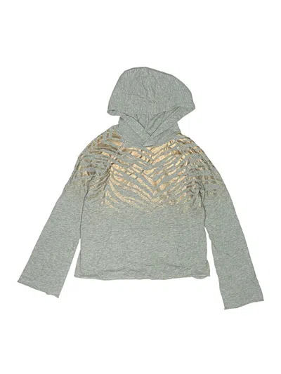 Pre-owned Splendid Kids' Pullover Hoodie In Silver