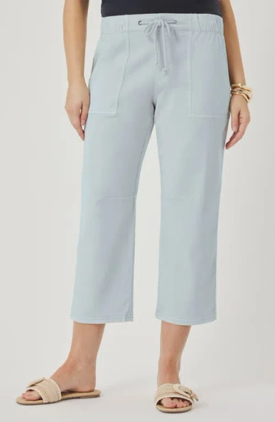 Splendid Regina Crop Pants In Blue