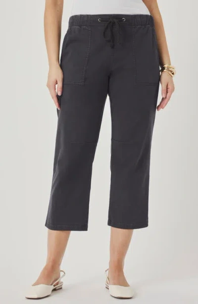 Splendid Regina Crop Pants In Gray