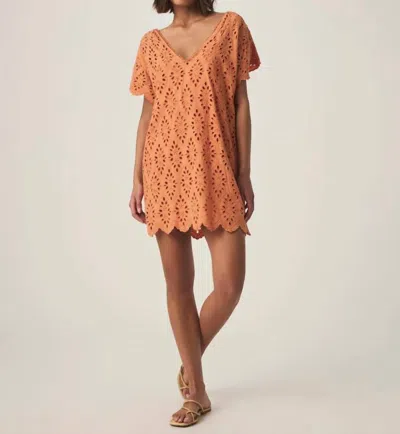 SPLENDID SANDRO EYELET DRESS IN ORANGE