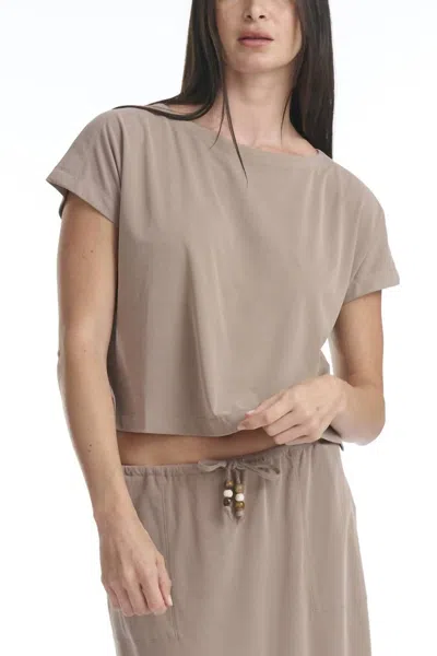 Splendid Sasha Sandwash Short Sleeve Tee In Wicker In Neutral