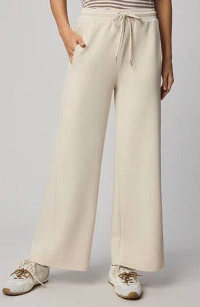 Splendid Scubasoft Wide Leg Drawstring Pants In Neutral