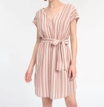 Splendid Striped Savannah Dress In Pink In Neutral